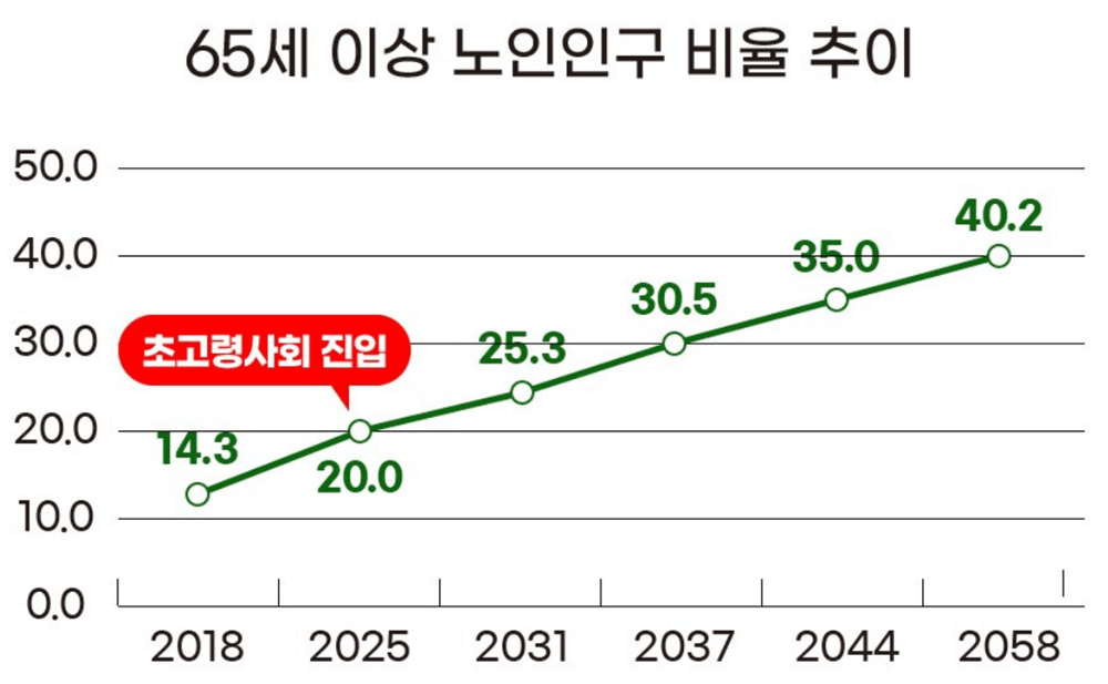 65세이상노인-비율